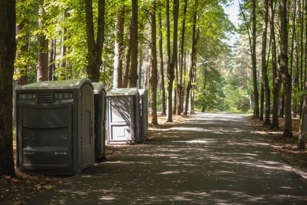 How Our Tree Care Process Works  in  Longview, TX